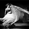 Flamenco avis client Flamenco avis client