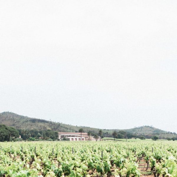 photographe de mariage en gironde proche de Bordeaux, vue du domaine de galoupet dans le var