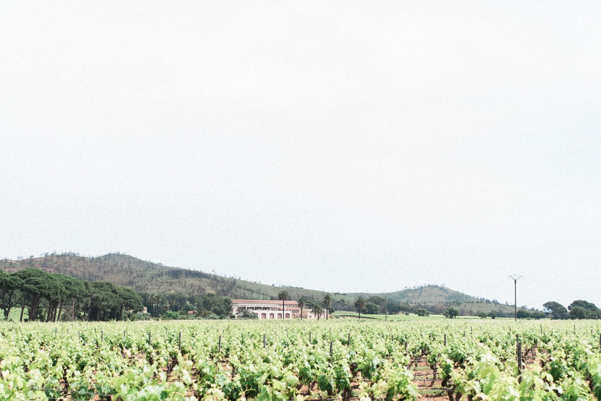 photographe de mariage en gironde proche de Bordeaux, vue du domaine de galoupet dans le var