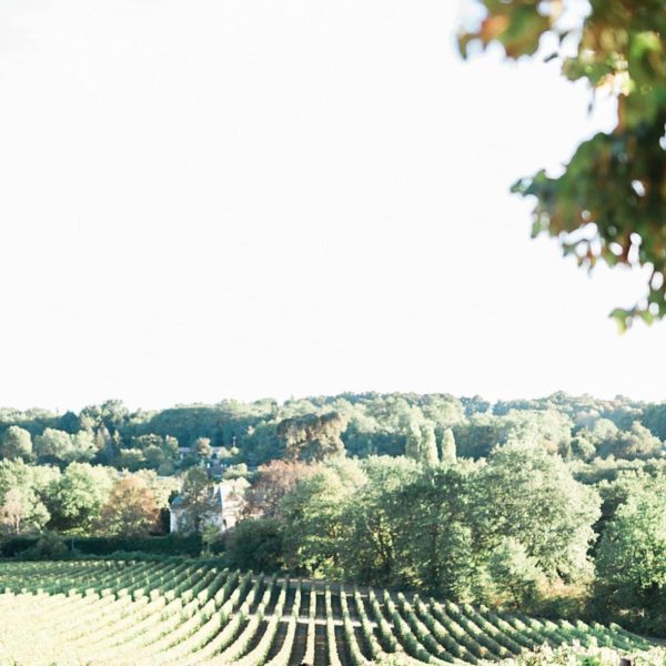 photoshoot couple in the vineyards at chateau de la ligne with pixaile photography wedding photographer in Gironde near Bordeaux