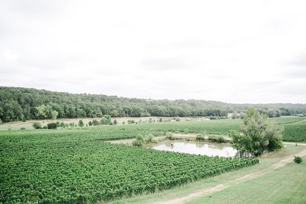 Vue sur les vignes chateau pey la tour photographe de mariage bordeaux